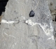 Diaclases dans le Pliensbachien recristallisées en calcite