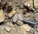 Bois fossile (peut-être pas sédimentaire)