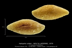Haliophis colleti