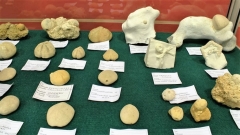 Vue d'ensemble des échantillons apportés par Tadeusz