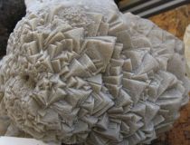 Calcite Belle Croix - Larchant (77)