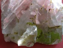 Fluorine rose