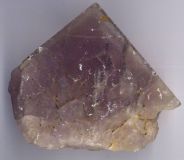 Fluorine rose