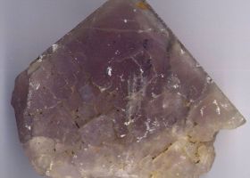 Fluorine rose