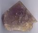 Fluorine rose