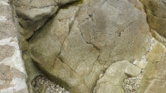 Combrit (5)