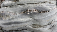 Micaschistes Penhors (1)