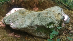 MinvenQuartz