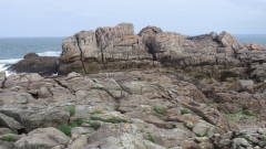 Saint Genole (1)
