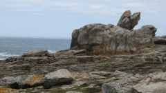 Saint Genole (6)