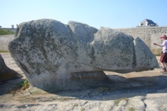 le rhinocéros