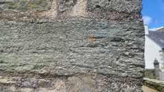 tregoatPrasinite(1)