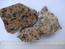 Granite à gros grain de La Clarté (complexe de Ploumanac'h, Trégor)