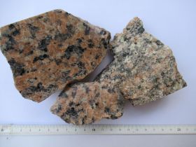 Granite à gros grain de La Clarté (complexe de Ploumanac'h, Trégor)