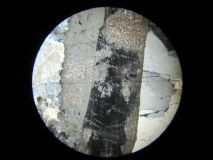Grand plagioclase à double macle