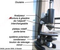 Microscope pour analyse de lames minces
