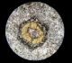Un cristal de hornblende entouré d'une couronne  réactionnelle d'altération en lumière polarisée non analysée