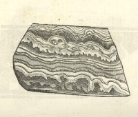 Marbre avec dessin imitant des fleuves - Ulysse Aldrovandi - Museum metallicum (1648) Livre IV p 849