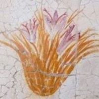 Fleur de crocus - Pigment de pourpre - détail de la fresque - Akrotiri_(Santorin, Grèce) - 1600 av. J.-C. - © Yann Forget