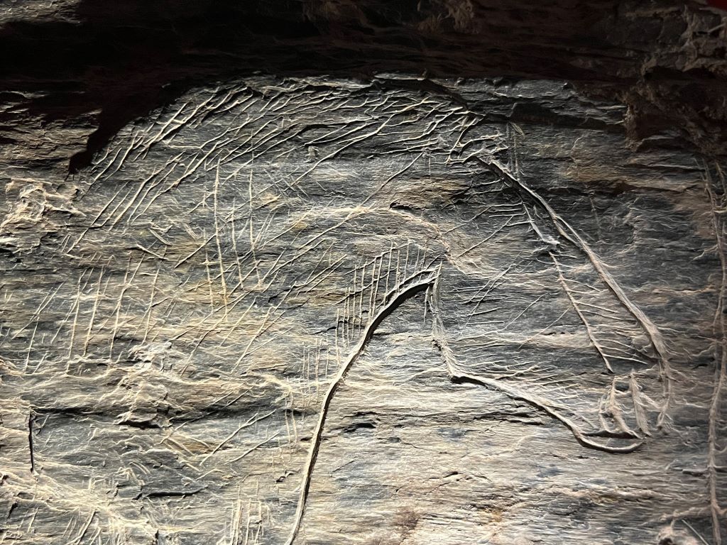 Tête de cheval gravé sur plaquette de schiste - Abri du Rocher de l’Impératrice  à Plougastel-Daoulas (Finistère) - Période Azilien (13000 ans) fin du Paléolithique entre les chasseurs cueilleurs du magdalénien et les agriculteurs du Néolithique