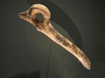 Bâton percé - Figuration tête de renard ou de bouquetin  en bois de renne - Fonction inconnue - Epoque magdalénienne (12 000 à 14 000 ans) - MAN