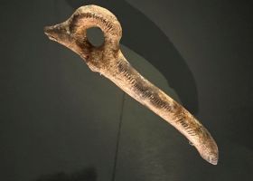 Bâton percé - Figuration tête de renard ou de bouquetin  en bois de renne - Fonction inconnue - Epoque magdalénienne (12 000 à 14 000 ans) - MAN
