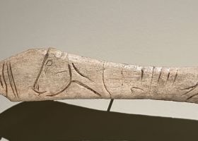 Lissoir gravé d’un boviné – provenant de l'abri de Laugerie-Basse aux Eyzies de Tayac (Dordogne) -  Epoque magdalénienne (12 000 à 14 000 ans) - MAN