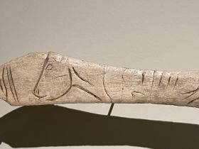 Lissoir gravé d’un boviné – provenant de l'abri de Laugerie-Basse aux Eyzies de Tayac (Dordogne) -  Epoque magdalénienne (12 000 à 14 000 ans) - MAN
