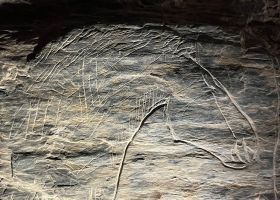 Tête de cheval gravé sur plaquette de schiste - Abri du Rocher de l’Impératrice  à Plougastel-Daoulas (Finistère) - Période Azilien (13000 ans) fin du Paléolithique entre les chasseurs cueilleurs du magdalénien et les agriculteurs du Néolithique