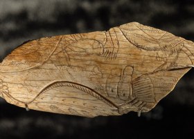 Sauterelle cavernicole (genre Troglophilus) gravée sur un fragment d'os - sans doute première représentation d'insecte - Grotte d'Enlène à Montesquieu-Avantès (Ariège) - Epoque magdalénienne (12 000 à 14 000 ans) - Musée de l'Homme - Photo Thilo Parg