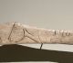 Lissoir gravé d’un boviné – provenant de l'abri de Laugerie-Basse aux Eyzies de Tayac (Dordogne) -  Epoque magdalénienne (12 000 à 14 000 ans) - MAN