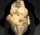 Vénus de Lespugue découverte dans la grotte des Rideaux, à Lespugue (Haute-Garonne) - ivoire de mammouth, - Epoque gravettienne,  H. 14,74 cm. Paris, musée de l’Homme