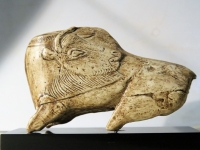 Bison se léchant - Abri de la Madeleine Tursac (Dordogne) - Fragment de propulseur (?) en bois de renne - Magdalénien 13000 BP - L=10,5 cm