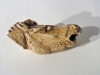 Tête de cheval hennissant. Bois de renne sculpté découverte dans le Mas d'Azil (09) - Magdalénien 15000 BP