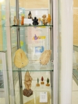 La vitrine "préhistoire au féminin"