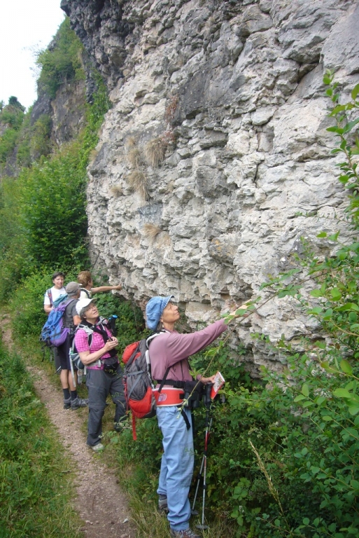 BD-Dolomites de Gerolstein - Au pied de la falaise