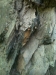HQ_Burg Eltz_Schiste Amygdale