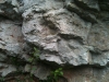 HQ_Dolomites de Gerolstein-AspectDolomite