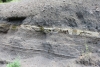JJ_Dolomites de Gerolstein, Gerolsteiner Maar,detail1