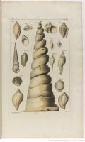 Les Dons merveilleux et diversement...1782  Buchoz Pierre Joseph