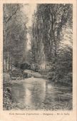 Le ru de Gally dans le parc du domaine de Grignon