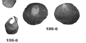 Anomia planulata, Deshayes1858 - Fossile du lutétien du BP - 136-6 dans l'Iconographie de Cossmann (1906)