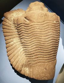 énorme coquillage marin sculpté dans un bloc de basalte