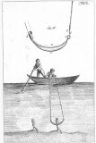 Récolte de Pinna nobilis, depuis un bateau -Gravure de Carl Ulysses von Salis Marschlins - 17932