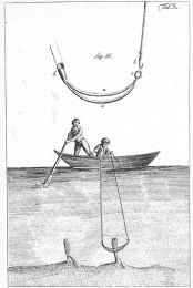 Récolte de Pinna nobilis, depuis un bateau -Gravure de Carl Ulysses von Salis Marschlins - 17932