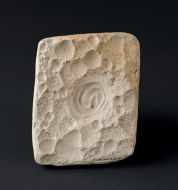 Bernard Palissy - Moule de pétoncle © RMN Château d'Ecouen - Stéphane Marechalle