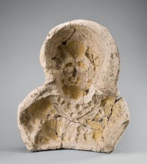 Bernard Palissy - grands moules © RMN château d'Ecouen Mathieu Rabeau