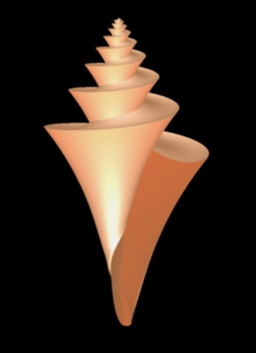 Modèle 3D de Thatcheria mirabilis - Hans Meinhart The Algorithmic Beauty of Sea Shells
