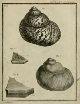 Herrisant - extrait mémoire intitulé : « Éclaircissements... - planche 2