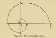 La spirale équiangulaire - On Growth and Form (1917)